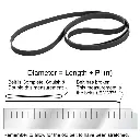 belts0203.webp