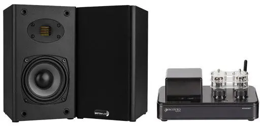 [24BT-B652-AIR] 24W TUBE AMP & 2 WAY AMT BOOKSHELF SPEAKER BUNDLE